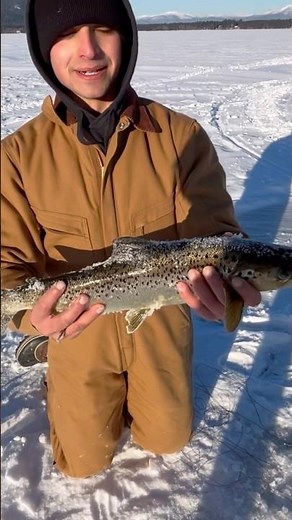 Landlocked salmon while ice fishing!! #fishing #icefishing #salmon #wintersport #troutfishing
