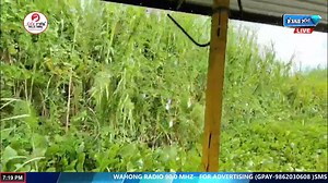 4.1K views · 61 reactions | EVENING NEWS UPDATE & SINGER OF THE DAY || 3rd JANUARY 2026 || 90.0 WAHONG RADIO (DIAMOND TV) | Diamond Tv Channel, Manipur | Facebook