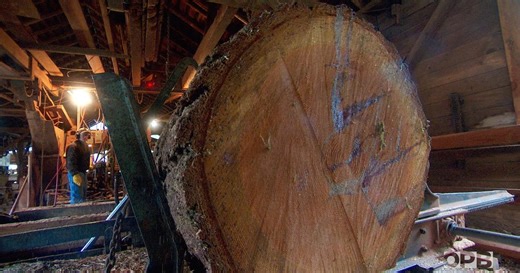 Oregon Field Guide:Yoder Mill Season 34 Episode 3