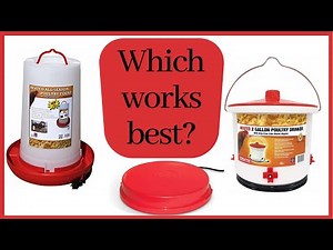 Best Heated Chicken Waterer
