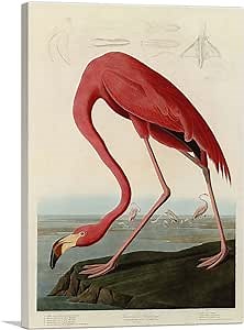 ARTCANVAS American Flamingo Pink Canvas Art Print Stretched Framed Painting Picture Poster Giclee Wall Decor by John James Audubon - 40" x 26" (0.75" Deep)