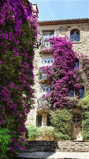 Grasse: The French City That Created the World's Perfume