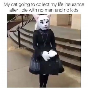 736K views · 2.5K reactions | . . #naturalchixs #curlyhair #naturalhair #makeup #model #memes #teamnatural #healthy_hair_journey FOLLOW @naturalchixs . . . #beautiful #curls #fashion #summer #protectivestyles #curlyhairday #love #funny #funnymemes #animals #cat | NaturalChixs | Facebook