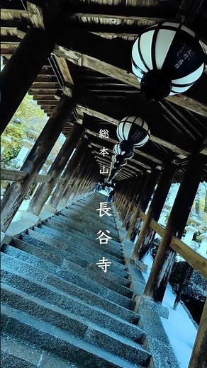 【国宝】長谷寺 SNS向け映像を撮影しました iPhoneにて収録📱 #神社仏閣 #奈良 #みほとけ #文化財 #仏像 #旅行 #国宝
