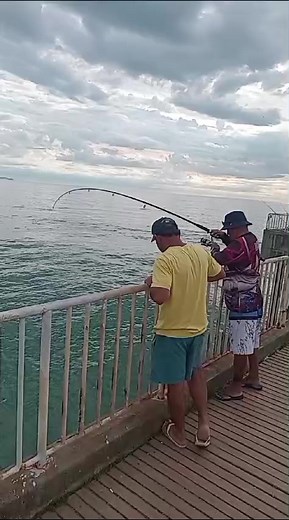 #borapescar #fishing #pesca #pescaria