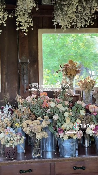 Discover Sacramento's Dreamy Farm Retreat