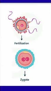 Reproduction in Human | Class 10 Sceince CBSE Note | How does Organsim Reproduce?