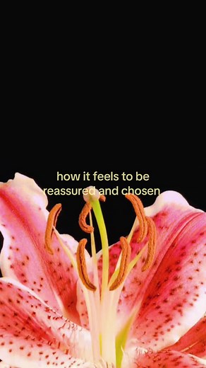 How It Feels to Be Reassured and Chosen — Signs of Emotional Reassurance