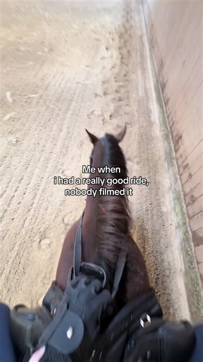 The Struggles of Equestrian Life and Missed Moments