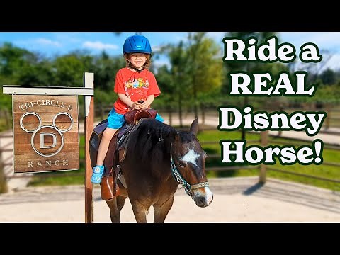 $10 WELL SPENT? Pony Rides at Disney World's Fort Wilderness Resort!