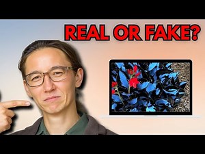 Midnight Blue Heart Plant Real or Fake (2026) : MUST WATCH!