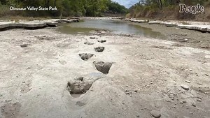 Dinosaur Tracks from 113 Million Years Ago Uncovered
