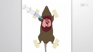 Mouse Lung Preparation for Flow Cytometry: Generating Cell Suspension from Lung Tissue for Flow Cytometric Analysis