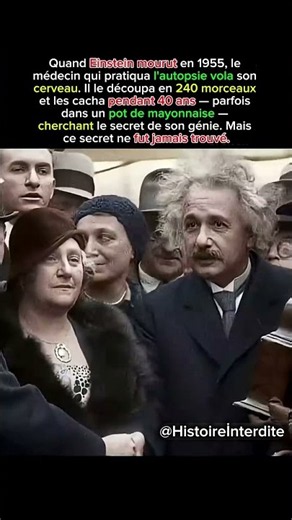 Ils ont volé le cerveau d'Einstein… et l'ont caché pendant 40 ans 🧠