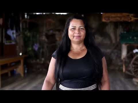 Roselia de Lucca - O Olhar de Jesus