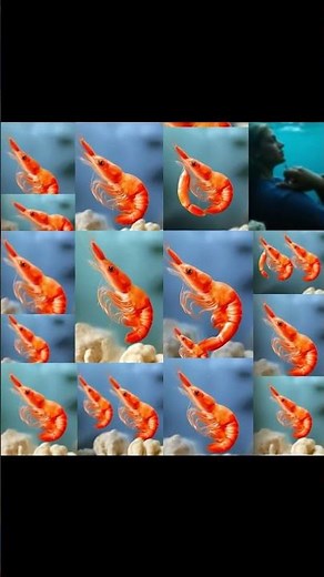 Why AI Created a Shrimp Jesus