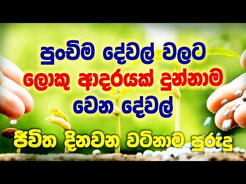 Sinhala Motivation-Sanath Gamage - Love your work ආදරයෙන් කරන දෙය කරන්න, වැඩට ආදරය වන්න Yes I Can