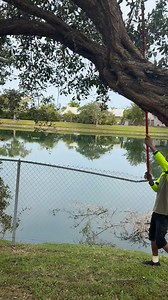 How To Catch Iguana Watch #championtheiguanaking #florida #wildlife #express #invasive #iguana #explorepage #explore #animalphotography #wildlifephotography #nature #naturephotography #videoviral #videoreelsシ | Champion BrooksWebster