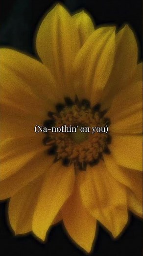 B.o.B feat. Bruno Mars - Nothin' on You | Lyrics