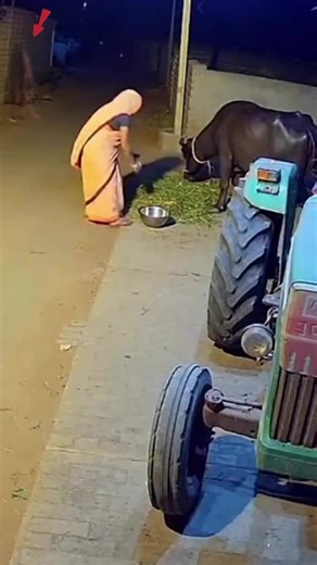 Top 10 Creepy Ghost Stories You Must Hear