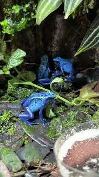 An Interesting Discovery! #youtubeshorts #fyp #terrarium