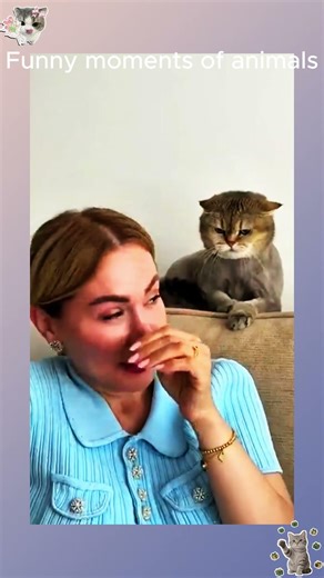 Funny cat fails that will make you laugh