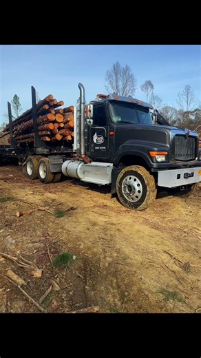 logging life in south mississippi