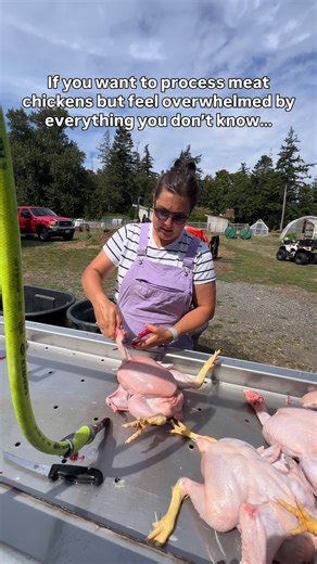 Jordyn & Kay | Meat Birds | Chicken Processing | You’re not alone if this feels overwhelming! It did for us too in the beginning. We’ve been raising and processing our own chickens for 12... | Instagram
