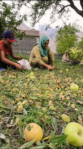 24M views · 123K reactions | #village #bestvelogs #best #vlogs #villagevlogs #popular #shorts #shortfeed #shorts #vlogs #bestvlogsvillage #vlog #almond | Arjumand Simple Recipes | Facebook