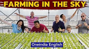 How Singapore is farming in the sky | World Vegetarian Day | Oneindia News