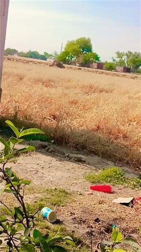 Google credit union number 1130