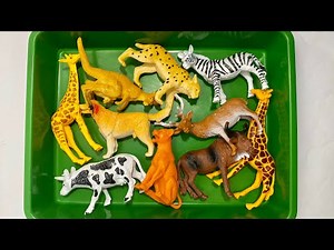 The ULTIMATE Animal Toy Collection Reveal! 🦓🦁🦒