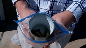 Couple finds mouse head in green beans