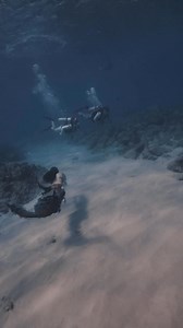 Mermaid 🧜🏼‍♀️ vs Scuba Divers 🤿 #mermaidtail #fairytale #professionalmermaid #mermaidcore #fairytales #mermaid #ocean tail by Merbella Studios Inc. | Mermaid Sirenity