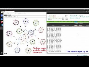 SEED Labs: Morris Worm Attack Lab (Demo)