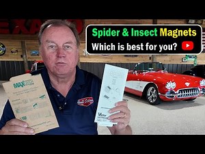 Best Sticky Traps For Spider And Insect Control - Which One Is Right For You?