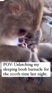 373K views · 7.1K reactions | If you know, you know ! Follow me Amy The Breastmilk Queen - Amy McGlade For more Breastfeeding Tips 櫓 #breastfeedingjourney #breastfeedingsupport #BreastfeedingLife | The Breastmilk Queen - Amy McGlade | Facebook