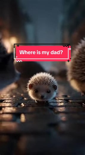 Baby Hedgehog Seeks His Dad