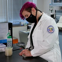 Assessing Motor Impairment in C. elegans Mode - JoVE Journal