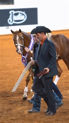 Equine Chronicle on Instagram: "From The #EquineChronicle - Congratulations to Monday’s Select Amateur Halter exhibitors! Amateur Halter begins Wednesday at the 2025 AQHA World Championship Show! www.EquineChronicle.com #TheEquineChronicle#aqhya #apha #ajpha #aqha #showNSBA #AQHAProud #APHAproud #QuarterHorse #PaintHorse #appaloosahorseclub #appaloosashowhorses #equestrian #horseshow #showhorselife #horseshowlife #horseshowing #westernhorsemanship #HorsesofInstagram #HeartHorse #linkinbio#quarte