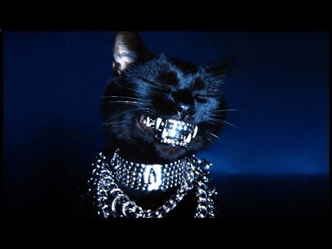 songs to make you feel RICH MILLIONAIRE (billionaire playlist)