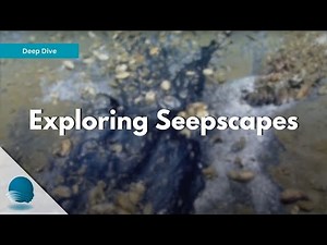 Deep Dive: Exploring Seepscapes