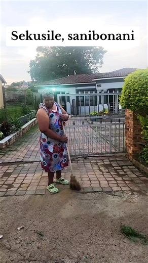 Transform Your Outdoor Space with Yard Cleaning Tips