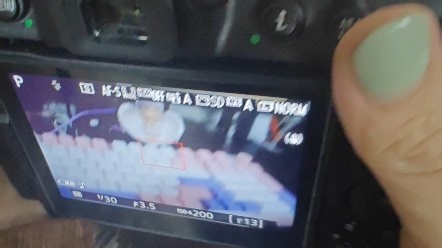 尼康 D5300 简单教程