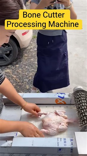 Fully Automatic Bone Cutting Machine #BoneCutter #MeatProcessingMachine #FoodMachinery