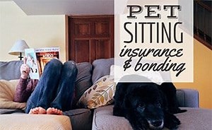 Pet Sitting Insurance & Bonding: What It Covers & Why You Need It