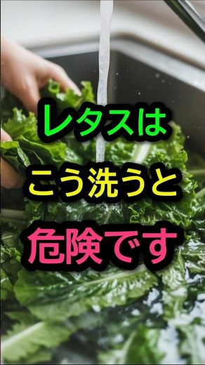 レタスはこう洗うと危険です…知らないと損する正しい洗い方