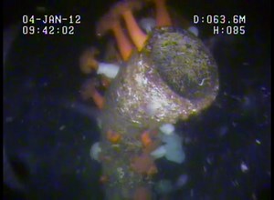 Marine outfall and diffuser inspection