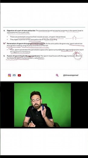 Sperm Penetration & Egg Fusion |Fertilization Explained In 30 Seconds 🧠 | High-Yield Embryology