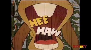 28K views · 1.2K reactions | HEE HAW made its primetime debut 47...